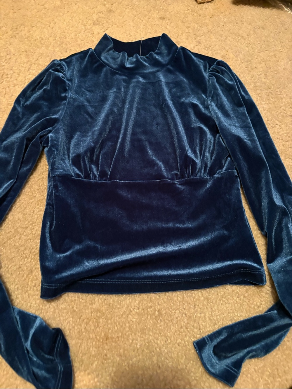 Women’s Blue Velvet Mock Neck Puff Sleeve Top Size Small Y2K
